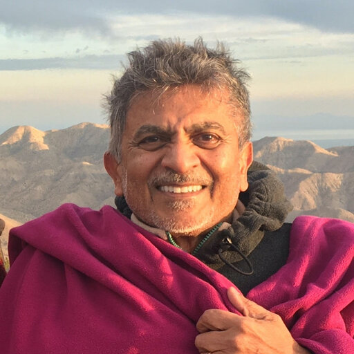 Suketu P. Bhavsar